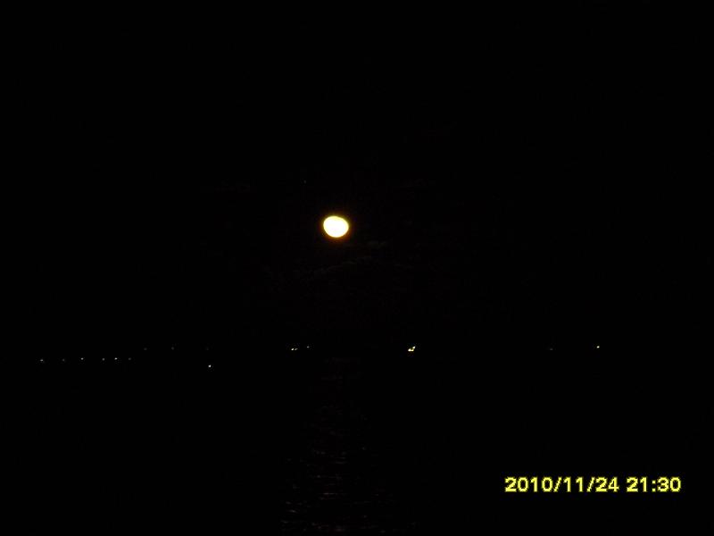 Picture 006